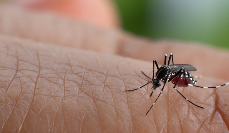 Rashrtiya Jagriti | डेंगू और मलेरिया होने वालों को कोरोना नहीं होने की...